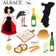 Gîte lOiseau du Paradis - Appartement moderne au cœur de lAlsace