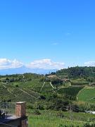 Top Monforte dʼAlba