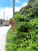 Feneos apartment Feneos apartment