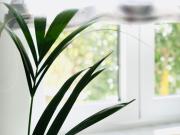 Villa Tonika -Two Bedroom Apartment with Terrace A1 Villa Tonika -Two Bedroom Apartment with Terrace A1