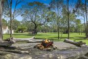 Top Lovedale