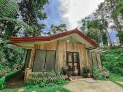 TwinkleVille Christmas-Themed Cottage