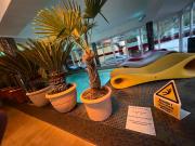 Top Băile Herculane