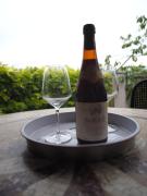 La Vigna del Parroco-2-