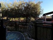 1 bedroom apartment with terrace 1 bedroom apartment with terrace