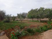 Top Marina di Mancaversa