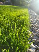 Top Zgornje Dobrenje