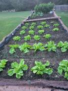 Top Zgornje Dobrenje