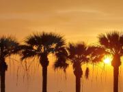 Top Playa de las Americas