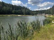 Top Świebodzice Top Świebodzice