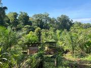 Top Tanjung Top Tanjung