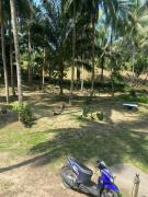 Top Ko Phangan