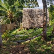 Firefly Treehouse Cafe and Bar