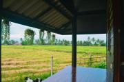 Top Ban Amphaeng