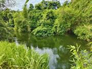 ECO Canal Suite