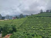 Top Vagamon