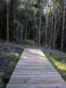 Top El Púlpito Top El Púlpito