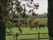 Top Saint-Seurin-de-Cadourne