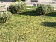 Top Castiglione del Lago