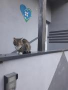 Top Lidzbark Top Lidzbark