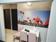 Old town Bucharest- Shared Apartment