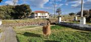 Top Chimborazo