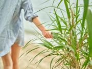 Top Agios Ioannis Peristeron