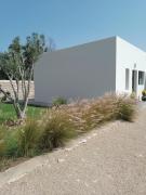 Top Oulad el Madani Top Oulad el Madani