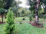 Top Madikeri