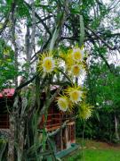 Hermosa Cabaña equipada, en medio de zonas verdes