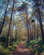 Lhotelet 16 Rural loft