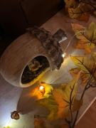 Ferienwohnung Zum Drachenfels