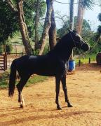 Top Santa Rita do Sapucaí