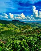 Top Santa Rita do Sapucaí