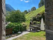 Top Brione Top Brione