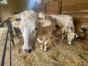 Top Besana in Brianza