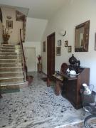 Top Arezzo