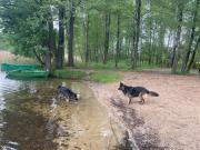 Top Stare Kiełbonki Top Stare Kiełbonki