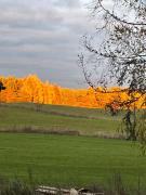 Top Stare Kiełbonki