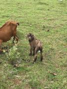 River Farm Stay near beach w Fiber Optic and Netflix