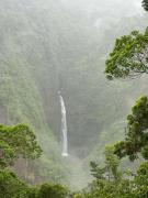 Top Bijagua Top Bijagua