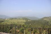Top Agali