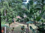 Top Ban Chieo Mon Top Ban Chieo Mon