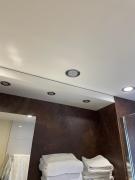 Ringeltaube , Wohnen wie zuhause