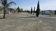 Top Nicosia