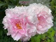 Grosszügige Sentner Ferienwohnung