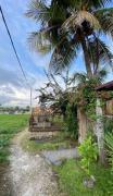 Top Ubud