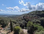 Top Sassetta Top Sassetta