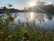 Top Zamarte Top Zamarte