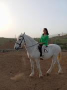 Top San Miguel de Abona